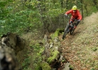 GIANT Trance 2 LTD (2017) - test
