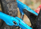 GIANT Trance 2 LTD (2017) - test