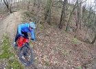 Giant Trance 29 3 (2020) - review