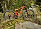 Giant Trance 29 3 (2020) - review