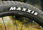 Giant Trance 29 3 (2020) - review
