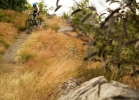 GIANT Trance 27,5 1 - TEST