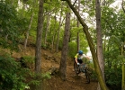 GIANT Trance 27,5 1 - TEST
