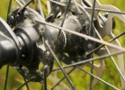 GIANT Trance 27,5 1 - TEST