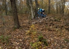 GIANT Trance 29 2 - review (2019)