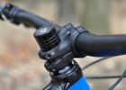 GIANT Trance 29 2 - review (2019)