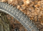 GIANT Trance 29 2 - review (2019)
