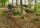 GIANT Trance X 29 2 (2021) - test