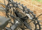 GIANT Trance X 29 2 (2021) - test