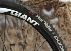 GIANT XTC Composite 29er - test