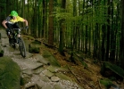 GT Force X Carbon Expert - TEST