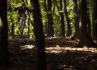 GT Force X Carbon Expert - TEST