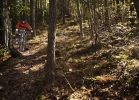 GT Force X Carbon Expert - TEST