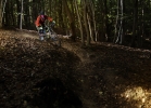 GT Force X Carbon Expert - TEST