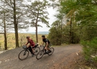 GT Grade (2020) - Tech News
