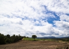 GT Grade 2020 - review (Girona)