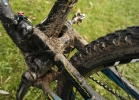 GT Helion Carbon Pro - v sedle