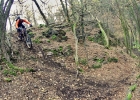 GT Sensor Carbon Expert (2019) - review