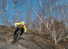GT Sesnsor Expert - TEST