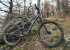 INTENSE Tracer 275C - review