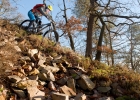 Intense Tracer 275C - review