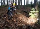 Intense Tracer 275C - review