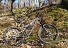 Intense Tracer 275C - review