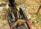Lapierre OverVolt FS 500