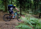 Bikepark Klíny 2018 - Andrea Drengubakova