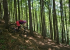 #MTBbikepark - kouty 2017