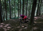 #MTBbikepark - kouty 2017