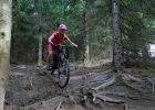 #MTBbikepark - kouty 2017