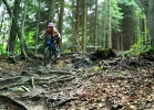 Kranjska Gora - Slovinsko bikepark