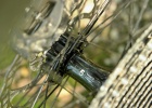 Lapierre Zesty AM - Mullet bike