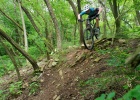 Lapierre Zesty TR 5.9 - review