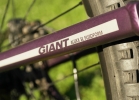 Liv Lust 27,5 2 (by Giant, model 2014) - Test