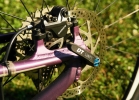 Liv Lust 27,5 2 (by Giant, model 2014) - Test
