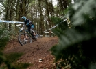 EWS Rotorua / EWS Tasmania - 2019