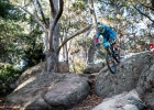 EWS-NZ-2019-13