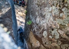 EWS Rotorua / EWS Tasmania - 2019