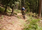 MTBbikepark - Cerkno - SLO