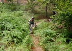 MTBbikepark - Cerkno - SLO