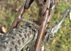Norco Fluid FS 1 - review