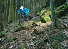 Norco Sight C3 - review