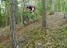 Pirelli Scorpion MTB (Scorpion M / Scorpion H) - review