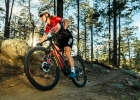 PIVOT Mach 4 SL - 2020 preview