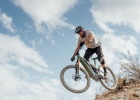 Pivot Shuttle (2021) - tech news