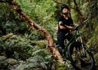 Pivot Switchblade MY2020 - preview