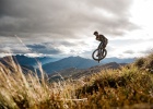 Pivot Switchblade MY2020 - preview