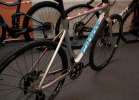 GIANT 2015